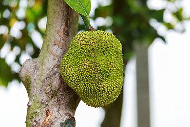 育碧在Steam开启特惠活动 最高优惠80%